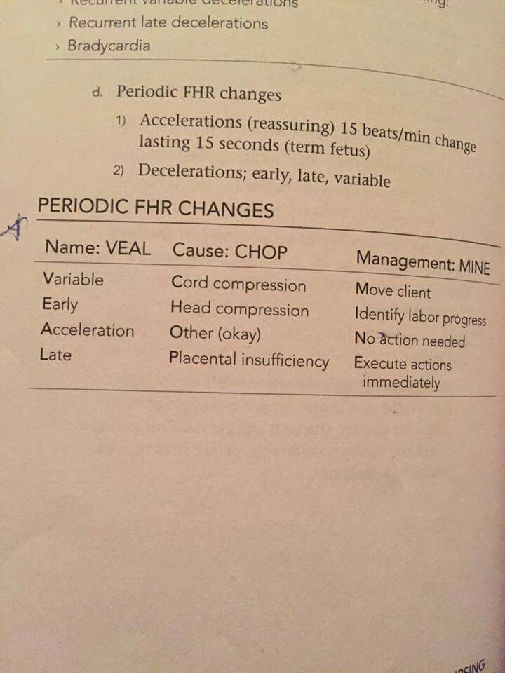 Veal Chop | Nursing school survival, Nursing school pharmacology