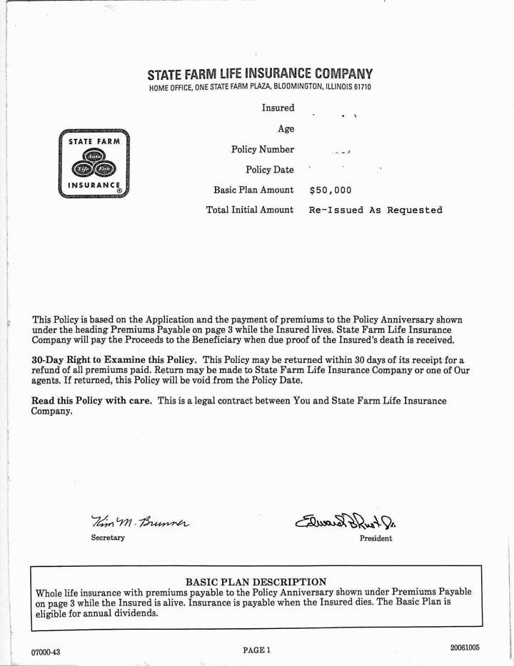 State Farm Business Plan For Vision Specialist Essay Helper State Farm Business Plan For Vision Specialist