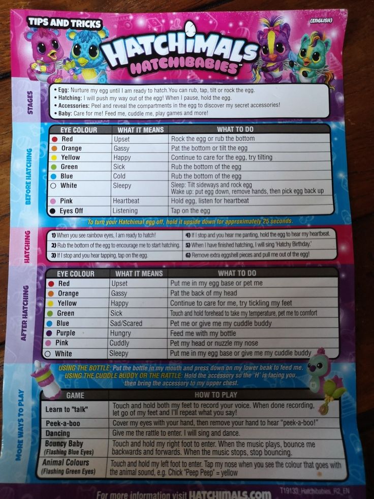 hatchimals hatchibabies review will you hatch a boy or a hatchimals chart