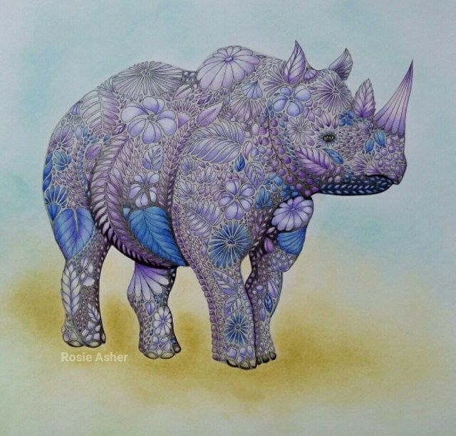 ROSIE ASHER Millie Marotta Adult ColoringColoring BooksColouringDoodle ArtAnimal KingdomZentanglesDoodlesFishOther