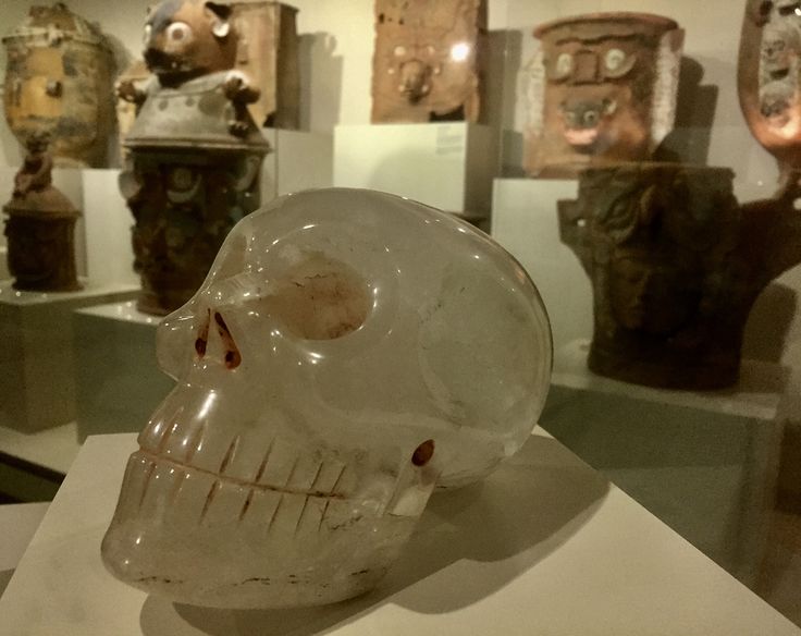 Portada 2021 El Amigo De La Marro Calavera De Cristal Museo Popol Vuh Popol Vuh