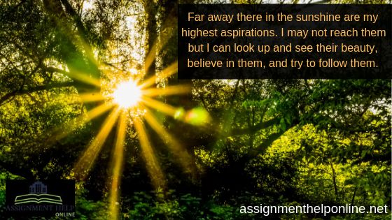 Assignment writing service australia
