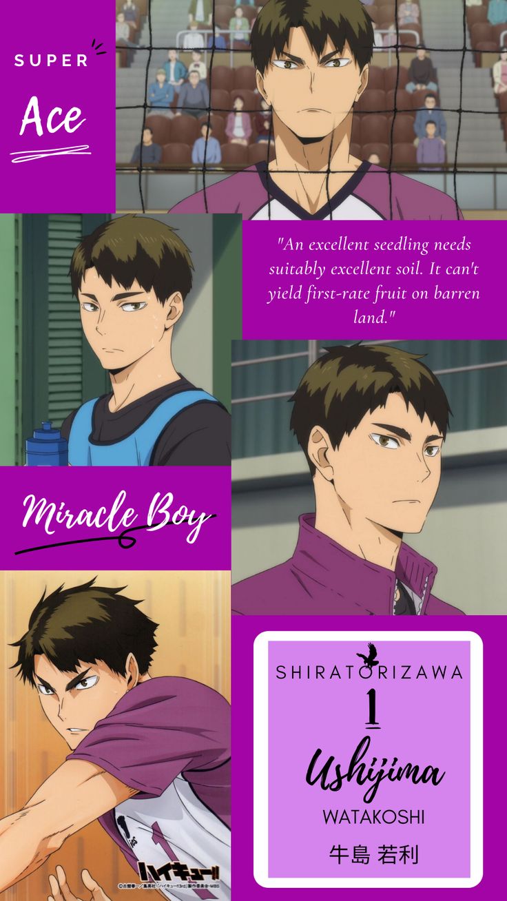 Ushijima Watakoshi | Haikyuu Wallpaper in 2022
