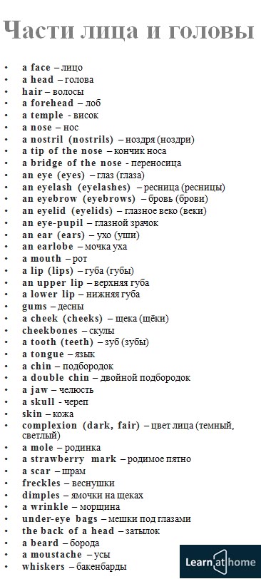 Shemale Erection Movie Your Vocabulary Practice Spelling Russian