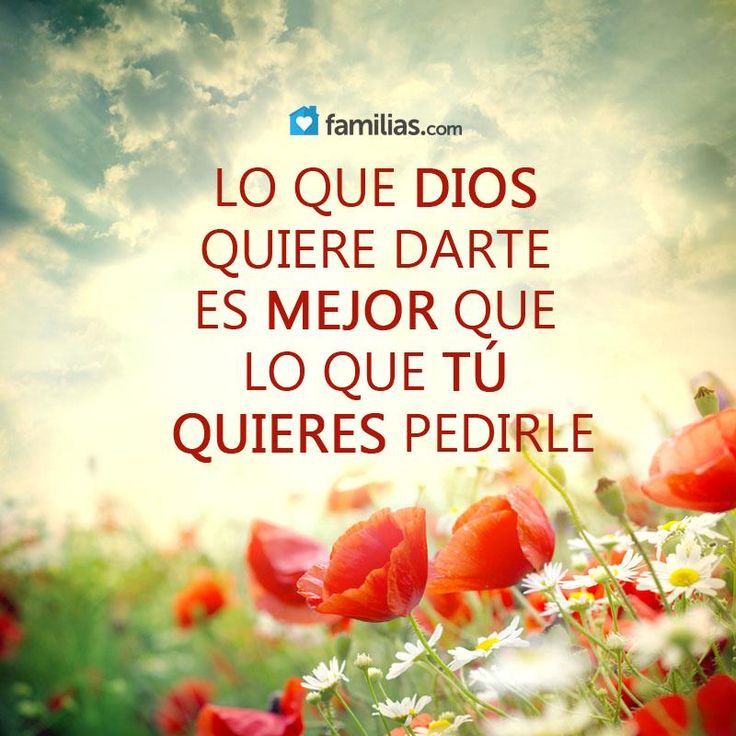 #frase #frasesdelavida #frasesinstagram #amore #reflexiones #letrasbonitas #poemasdeamor #citas #followme