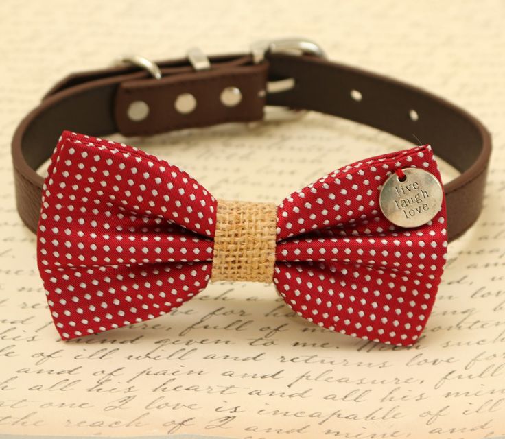 The 25 Best Dog Bow Ties Ideas On Pinterest Bowtie Diy Red Dog Bow Tie Burlap Attached To Brown Collar