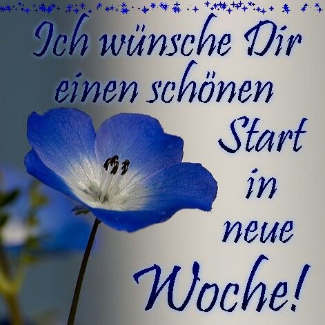 Einen schönen wochenstart bilder