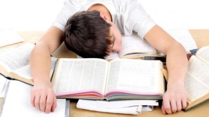 Homework help research paper