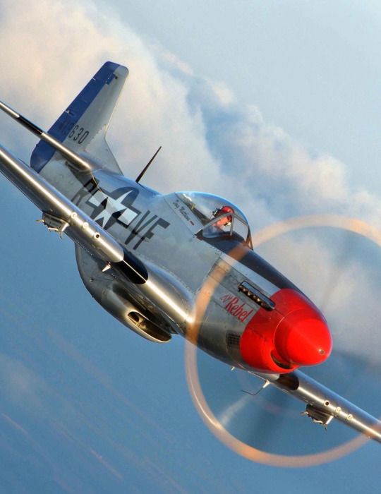 107 best P-51 Mustangs images on Pinterest Military aircraft - p&l sheet example 107 best P-51 Mustangs images on Pinterest Military aircraft - p&l sheet example