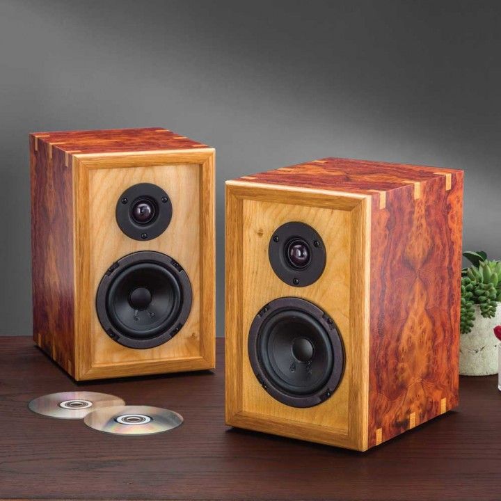 Best 25 Diy Speaker Kits Ideas On Diy Speaker Kit Build Your Own Custom Cabinets To Blend In With Decor
