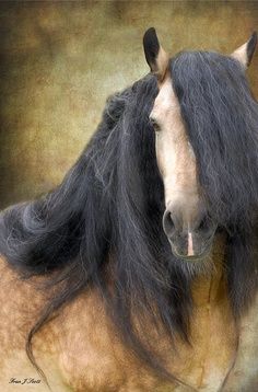 horse branch singles over 50 Singles in their 50s, he mentioned he liked horses and horse trailers then, the most popular dates among people over 50,. horse branch singles over 50 Singles in their 50s, he mentioned he liked horses and horse trailers then, the most popular dates among people over 50,.