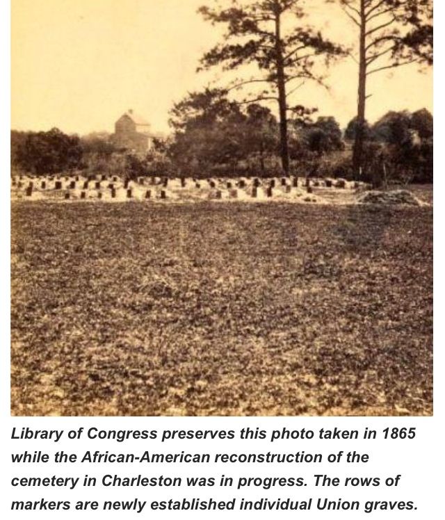 a year in the south 1865 essay a year in the south 1865 essay