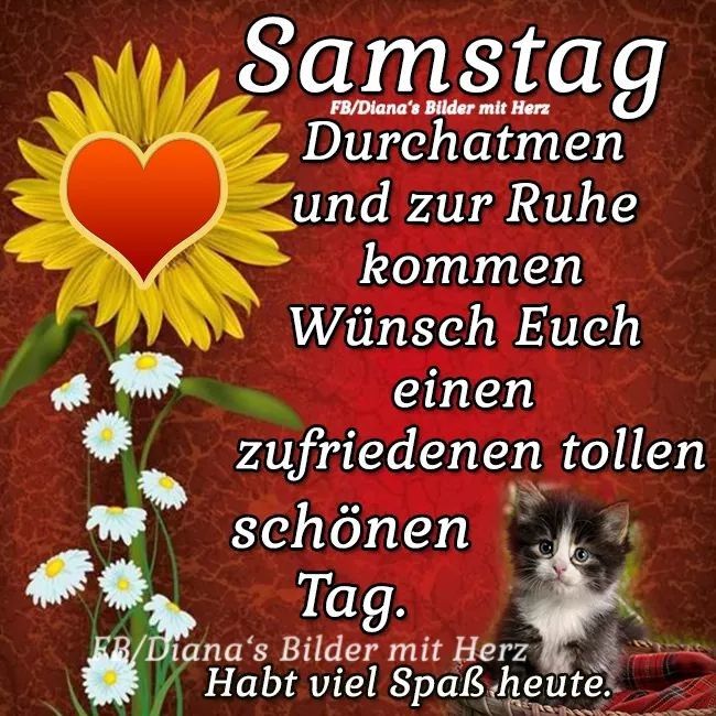 Sonntag morgen bilder lustig