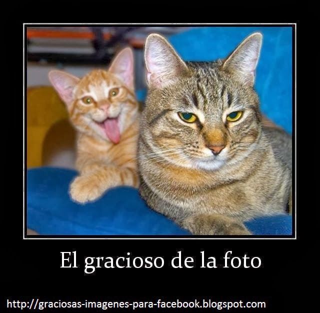 Imagenes Comicas Para Ping | frases comicas para facebook aol image search results Imagenes Comicas Para Ping | frases comicas para facebook aol image search results