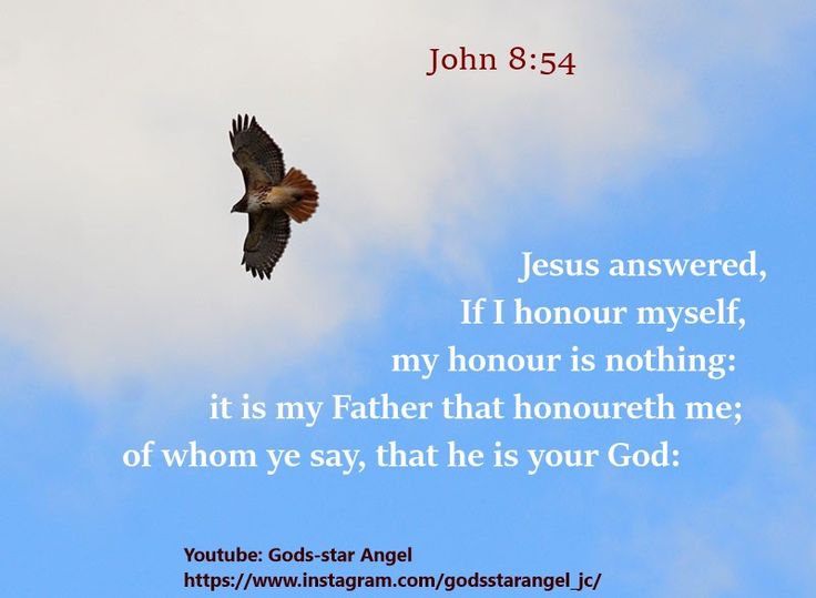 John 8:54 KJV Jesus answered, If I honour myself, my honour is nothing: it is my Father that honoureth me; of whom ye say,
that he is your G… | Sayings, Jesus, God