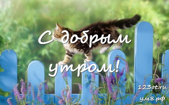 Картинки музыкальные добрый день на вайбер
