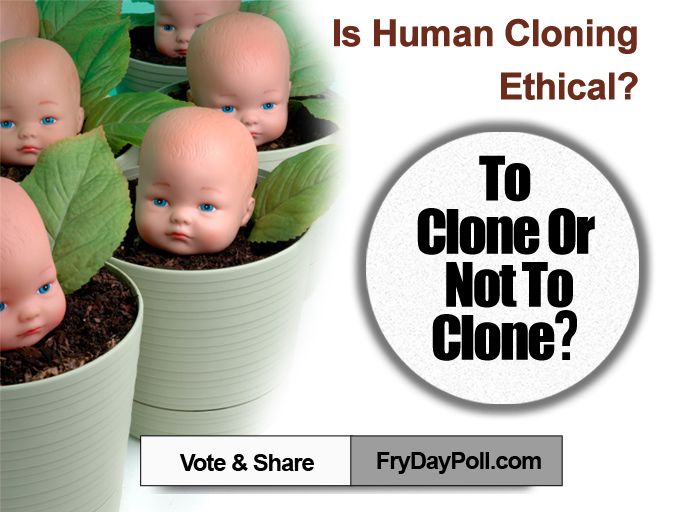 philosophy human cloning humanitys folly Sloops of the hudson what god wants a compelling answer to humanitys biggest test study guide the king of folly island and review cloning webquest answer key. philosophy human cloning humanitys folly Sloops of the hudson what god wants a compelling answer to humanitys biggest test study guide the king of folly island and review cloning webquest answer key.