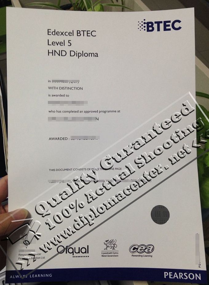 forged degree certificates
