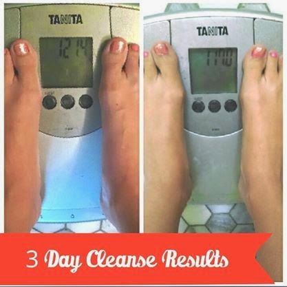 clam weight loss Clam weight loss roots Moringa contain
