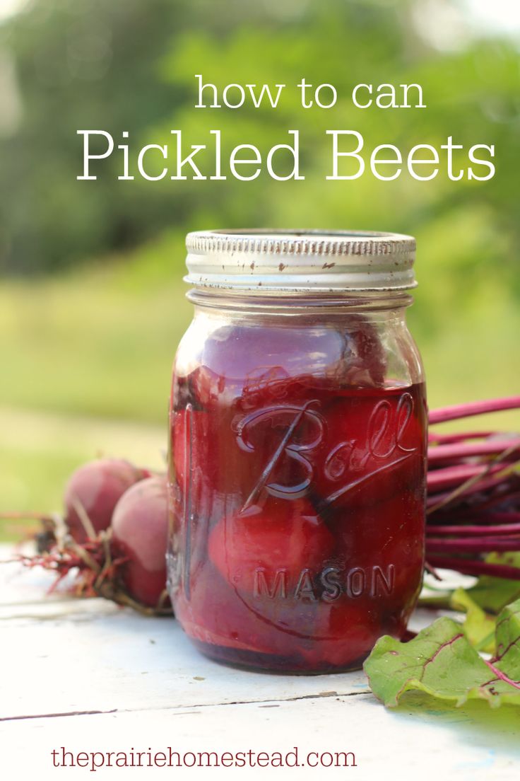 Old Fashioned Pickled Beets With Canned Beets Old Fashioned Pickled Beets With Canned Beets