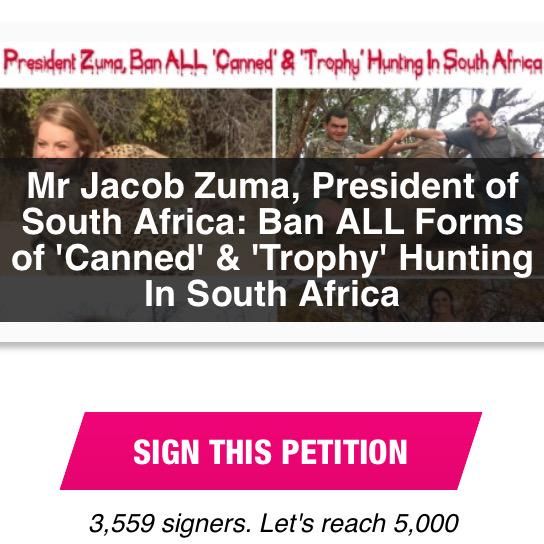 163 best Animal Petitions images on Pinterest Animal rescue - creating signers form for petition 163 best Animal Petitions images on Pinterest Animal rescue - creating signers form for petition