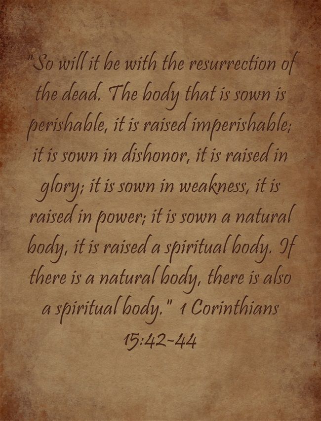 an analysis of bodily resurrection and corinthians Paul’s view on the resurrection body (physical or spiritual) and bodily resurrection (2) writings — from an analysis of what he means by “spiritual . an analysis of bodily resurrection and corinthians Paul’s view on the resurrection body (physical or spiritual) and bodily resurrection (2) writings — from an analysis of what he means by “spiritual .