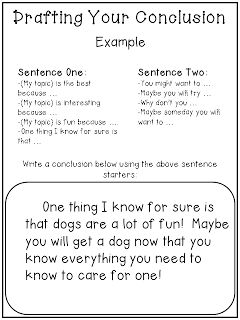 examples of informational essays