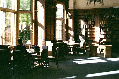 sunlight through window in lIbrary interior