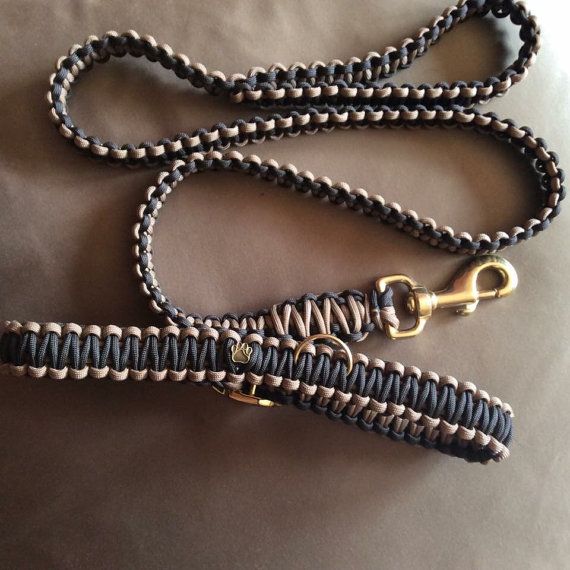 Dog E Collar Ideas Dog E Collar Ideas