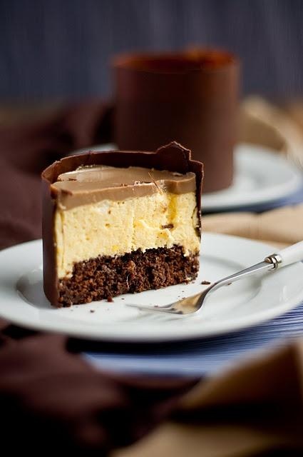 Mango Chocolate Mousse Cake Mango Chocolate Mousse Cake
