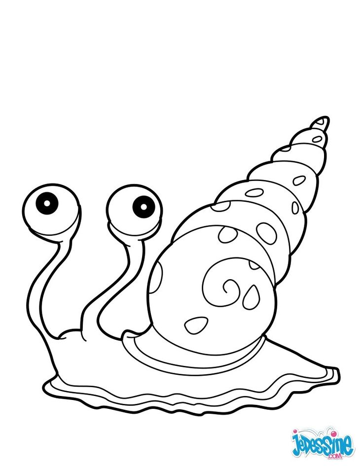 24+ 68 best Coloriages animaux marins images on Pinterest | Animal coloring