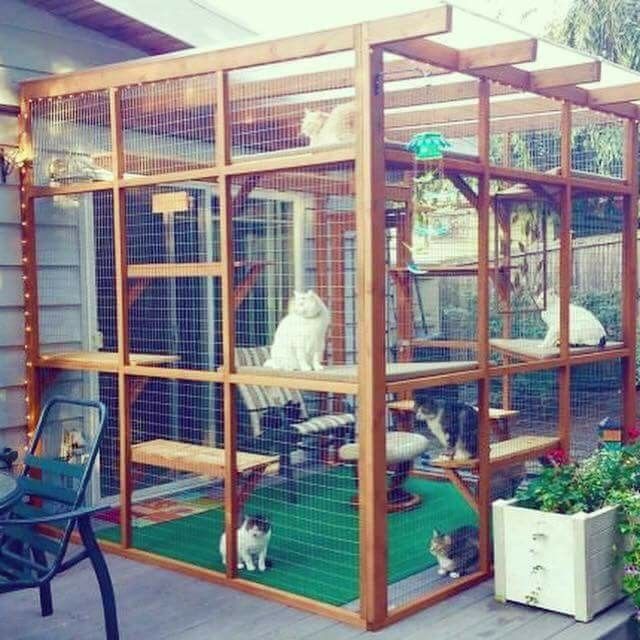 Pin By Jasmine Gtz On Para Mis Bebés Outdoor Cat Enclosure Outdoor Cat House Cat Patio