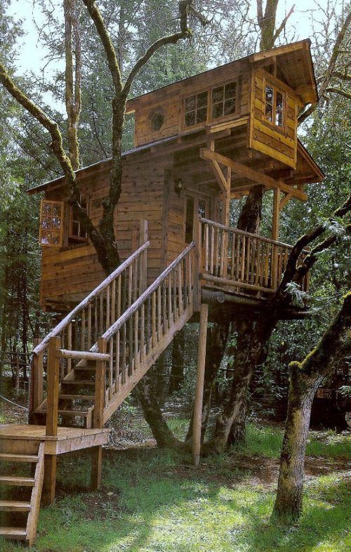 478 best tree houses images on pinterest | architecture, awesome 478 best tree houses images on pinterest | architecture, awesome