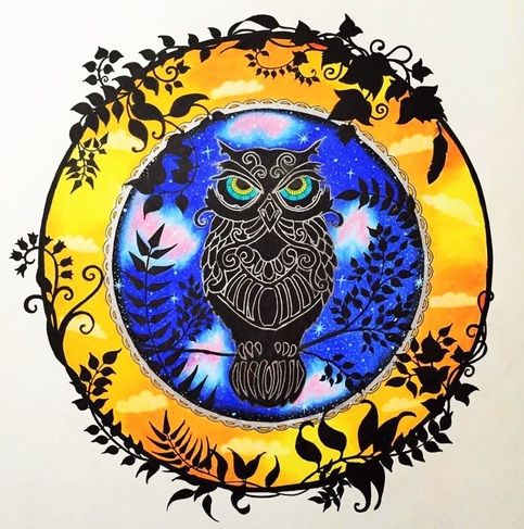 Enchanted Forest Artists Edition By Johanna Basford ColouringAdult ColoringColoring BooksJohanna BasfordBook ReviewsArtistsForests