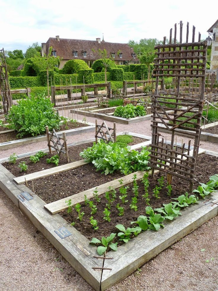 671 best beautiful vegetable gardens images on pinterest | veggie 671 best beautiful vegetable gardens images on pinterest | veggie