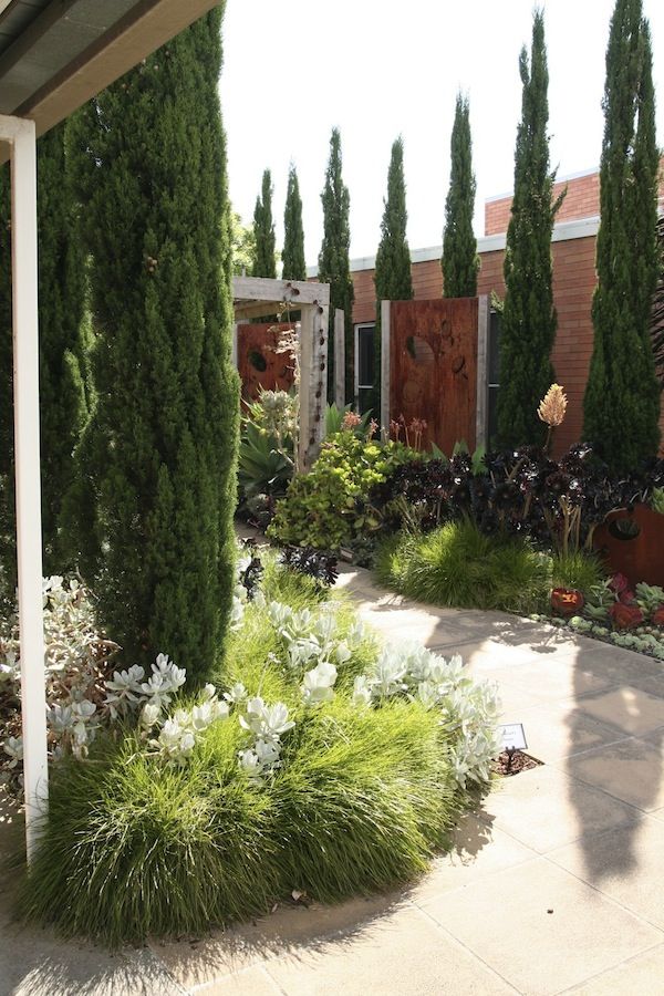 Garden Ideas Melbourne 18 best steven wells rehabilitation garden images on pinterest Garden Ideas Melbourne 18 best steven wells rehabilitation garden images on pinterest