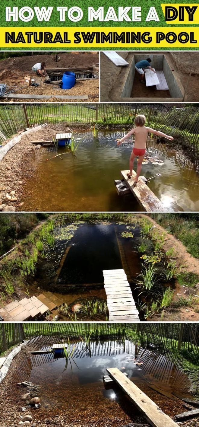 How To Make A Diy Natural Swimming Pool Natural Swimming Ponds Swimming Pond Diy Swimming Pool