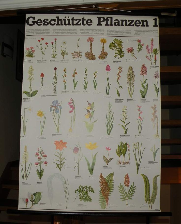 13 best schule images on Pinterest School, Games and Ideas - gebrauchte küche aachen 13 best schule images on Pinterest School, Games and Ideas - gebrauchte küche aachen