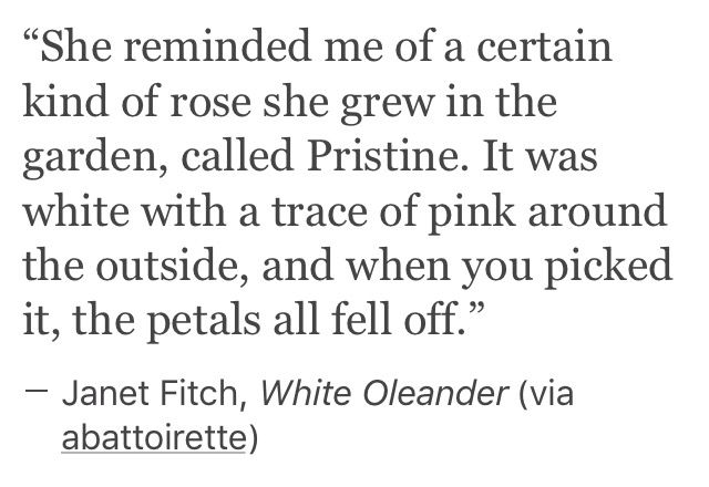 Oleander - Don't Break My Fall Oleander - Don't Break My Fall