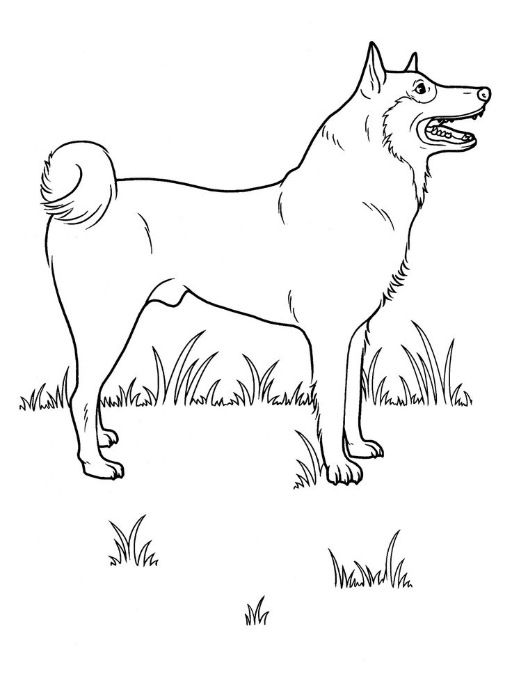 adult and teenager coloring pages of dogs