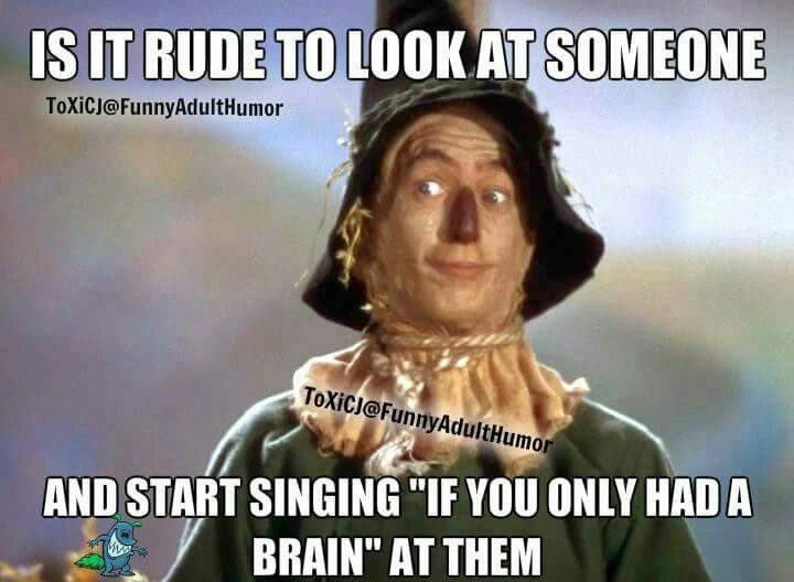 best 25 crazy people humor ideas on pinterest crazy people cb6f4b77d8acb5b26cee9809d34a6e39 hotel humor its funny best 25 crazy people humor ideas on pinterest crazy people,Crazy Look Meme