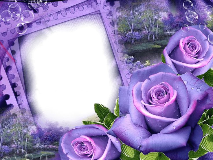 free digital printable transparent png picture frames christmas photo frames online