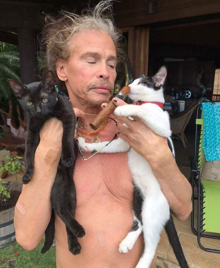 Resultado de imagen para steven tyler kitties