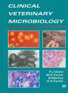 Small Animal Surgery By Slater Pdf