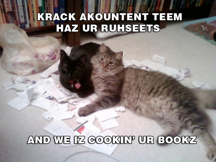 Cat Captions Pictures Cat Captions Pictures
