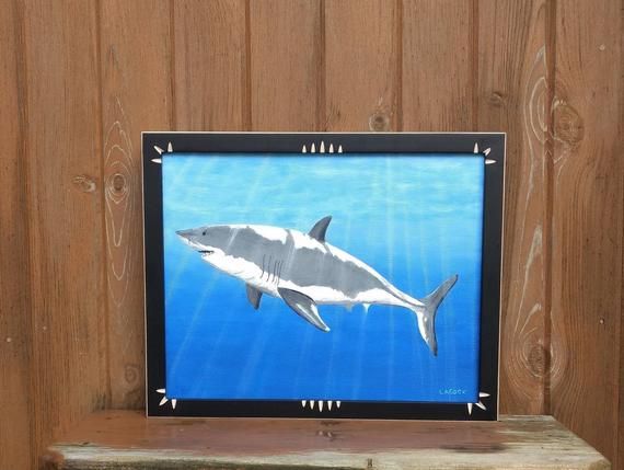 Pin On Shark Decor - Framed Shark Pictures Pin On Shark Decor - Framed Shark Pictures