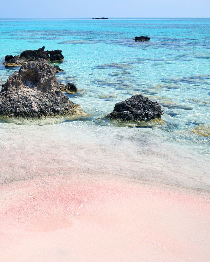 37 Best Basking In Bermuda Images On Pinterest S Excursions Add Bermuda S Pink Sands Beach To Your Bucket List