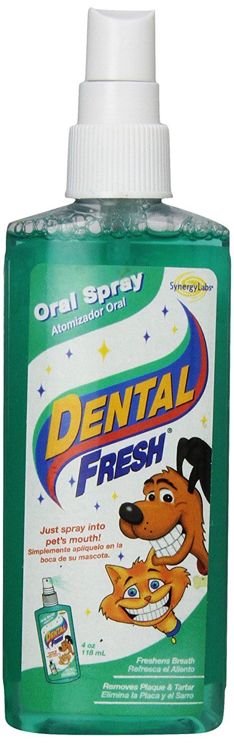 buy synergy labs flea and tick spray buy synergy labs flea and tick spray