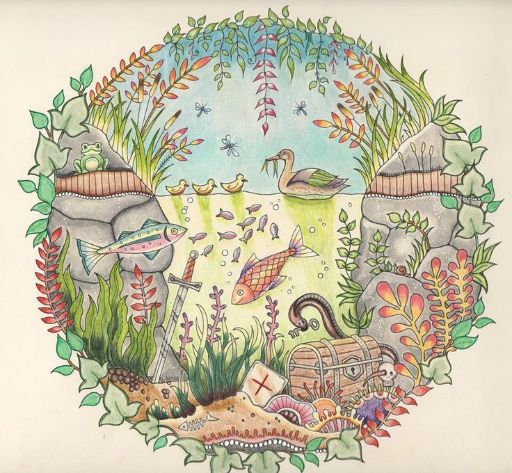Coloured By Christy Hammer. Duck Pond coloring with the guidance of