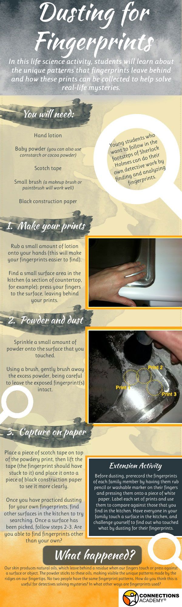 69 best science experiments images on pinterest school science science experiment flyer